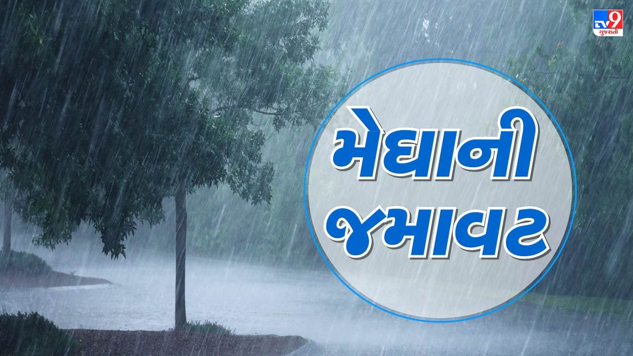 Rain Update : ગુજરાતમાં મેઘ મહેર ! છેલ્લા 24 કલાકમાં 25 તાલુકામાં વરસાદ વરસ્યો, જુઓ Video
