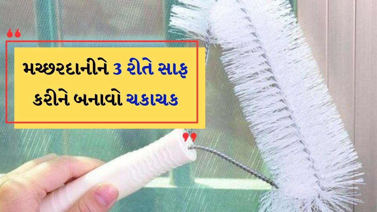 Mosquito Net : શું તમે મચ્છરદાની વાપરો છો? આ 3 રીતે તેની કરો સફાઈ, બનાવો ચકાચક