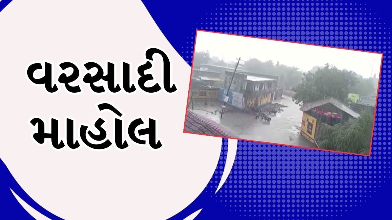 Bhavnagar Video : ભાવનગર અને આસપાસના વિસ્તારમાં અનરાધાર વરસાદ, શેત્રુંજી નદીમાં આવ્યા નવા નીર