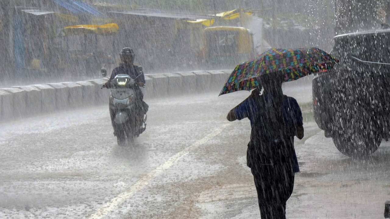 Bhavanagar Rain : ભાવનગર પંથકમાં પવનના સૂસવાટા સાથે વરસ્યો વરસાદ,પાણીની આવક થતા નદી -નાળા છલકાયા, જુઓ Video