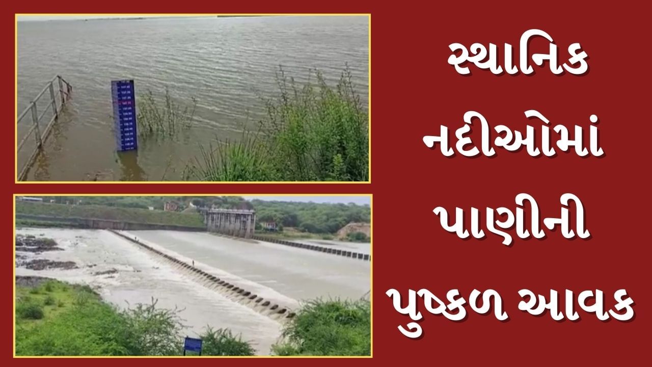 Sabarkantha Rain : ભારે વરસાદના પગલે સ્થાનિક નદીઓમાં પાણીની પુષ્કળ આવક, જુઓ Video