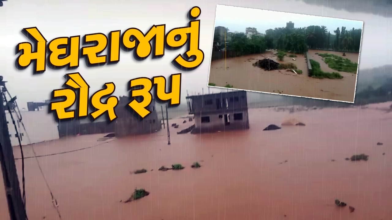 Rain News : છેલ્લા 2 કલાકમાં 63 તાલુકામાં વરસાદ, કચ્છના મુદ્રામાં ભારે પવન સાથે 3 ઈંચ ખાબક્યો વરસાદ, જુઓ Video