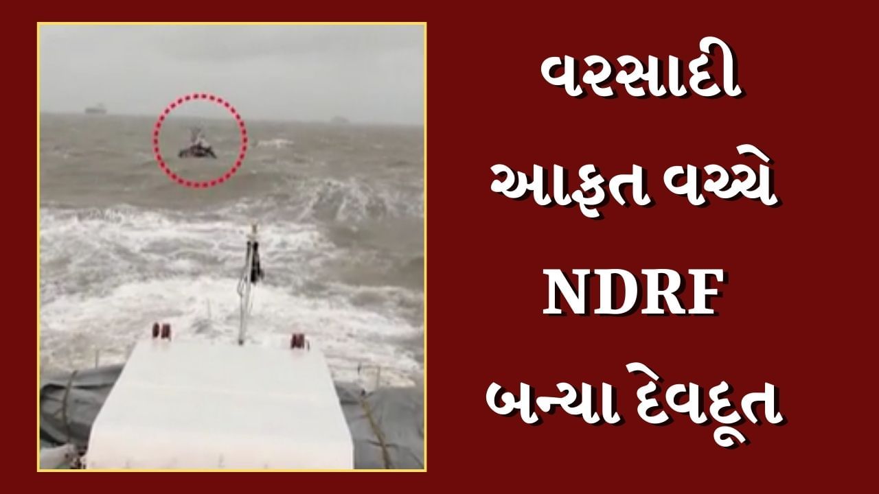 Dwarka Rain : વરસાદી આફત વચ્ચે NDRF બન્યા દેવદૂત, 95 લોકોનું કર્યું રેસ્ક્યુ, જુઓ Video