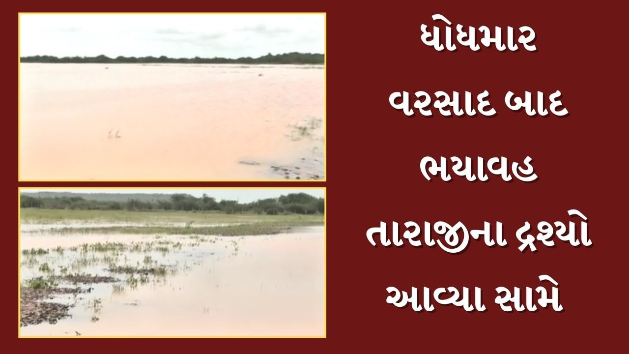 Kutch News : લખપત તાલુકાના અનેક ગામ હજુ નથી ઓસર્યા પાણી, સરકાર મદદ કરે તેવી ખેડૂતોની માગ, જુઓ Video