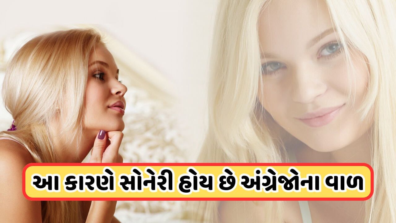 Blonde hair: શું તમે જાણો છો અંગ્રેજોના વાળ કેમ સોનેરી હોય છે?, જાણો તેની પાછળનું વિજ્ઞાન