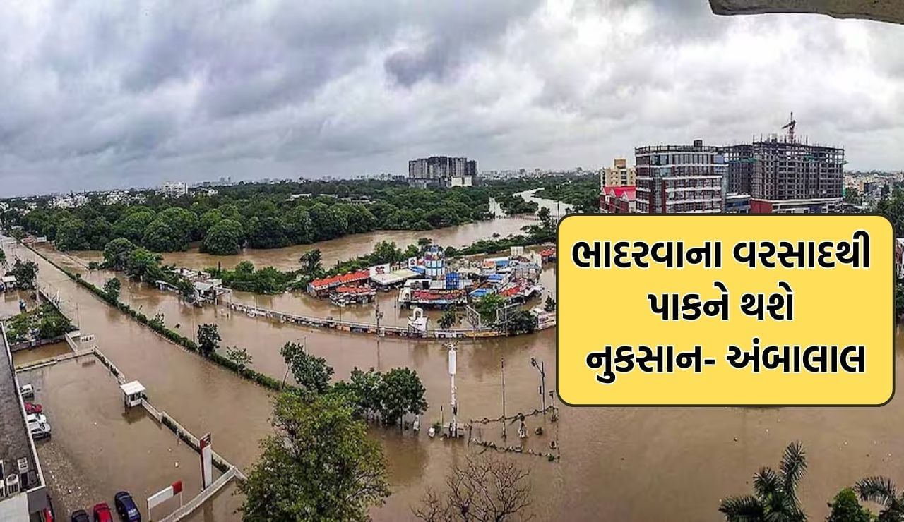 ધરતીપુત્રો માટે આગાહીકાર અંબાલાલ પટેલની મોટી આગાહી, અવિરત વરસાદથી પાકમાં પડશે જીવાત, તો ભાદરવામાં પણ મેઘરાજા કરશે ભરપૂર જમાવટ