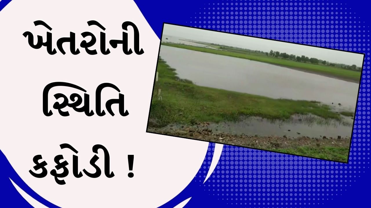 Gandhinagar Rain :  માણસામાં ભારે વરસાદથી ખેતરો બેટમાં ફેરવાયા, ખેડૂતોએ સહાયની માગ કરી, જુઓ Video