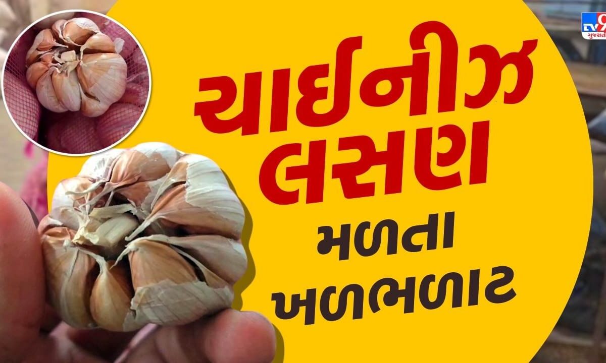 Rajkot News : ગોંડલ માર્કેટ યાર્ડમાંથી 600 કિલો ચાઈનીઝ લસણ મળતા લોકોમાં ખળભળાટ, જુઓ Video