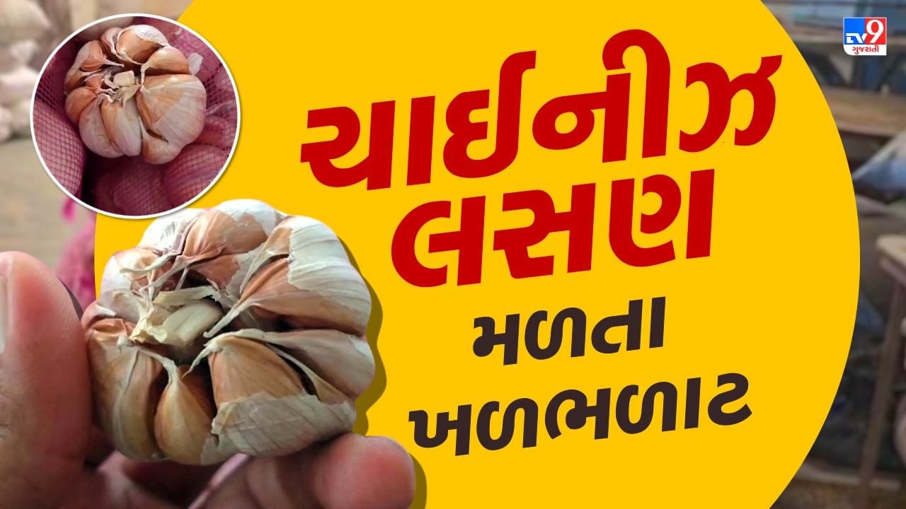 Rajkot News : ગોંડલ માર્કેટ યાર્ડમાંથી 600 કિલો ચાઈનીઝ લસણ મળતા લોકોમાં ખળભળાટ, જુઓ Video