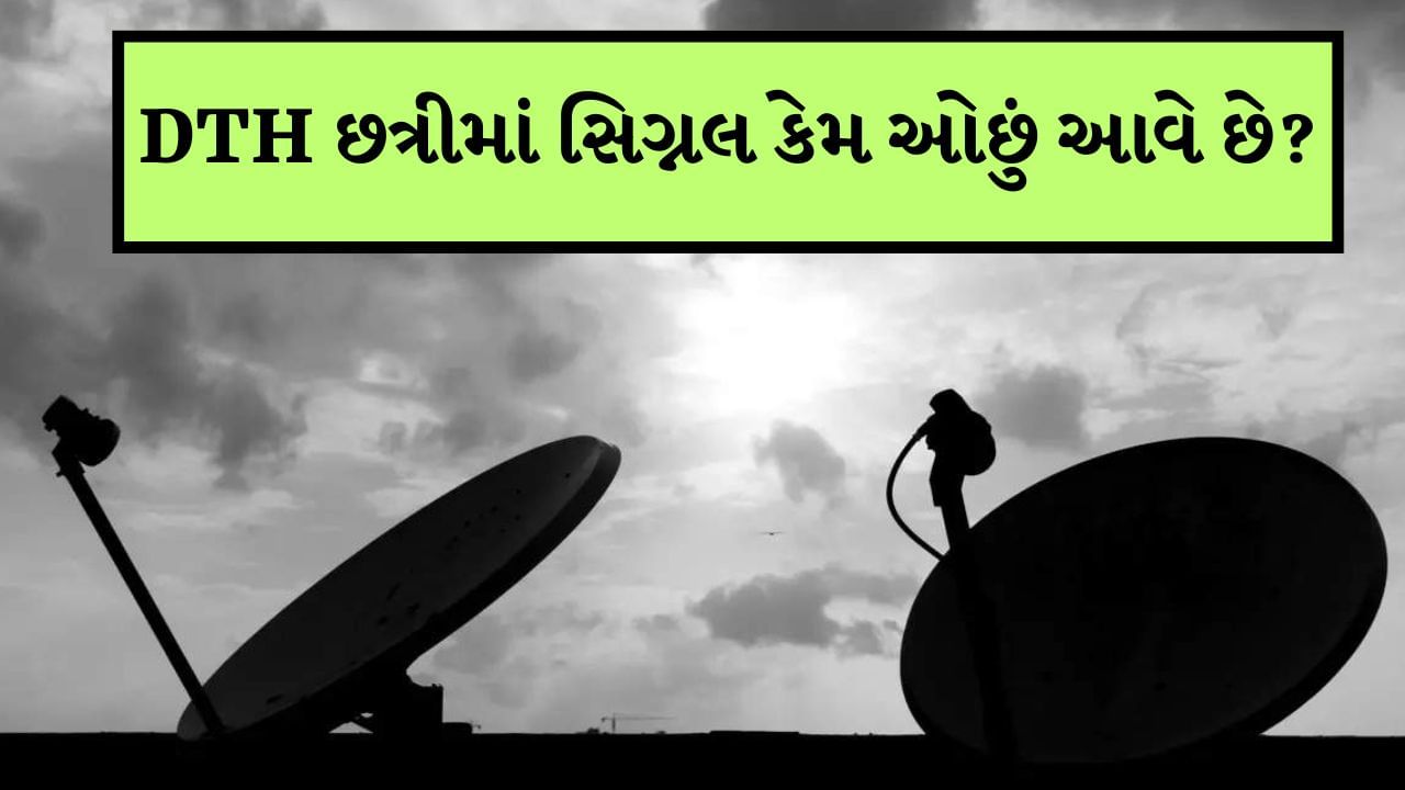 વરસાદમાં ટીવી સિગ્નલ કેમ ઓછું કેમ આવે છે? DTH છત્રી સાથે આ કરો જુગાડ