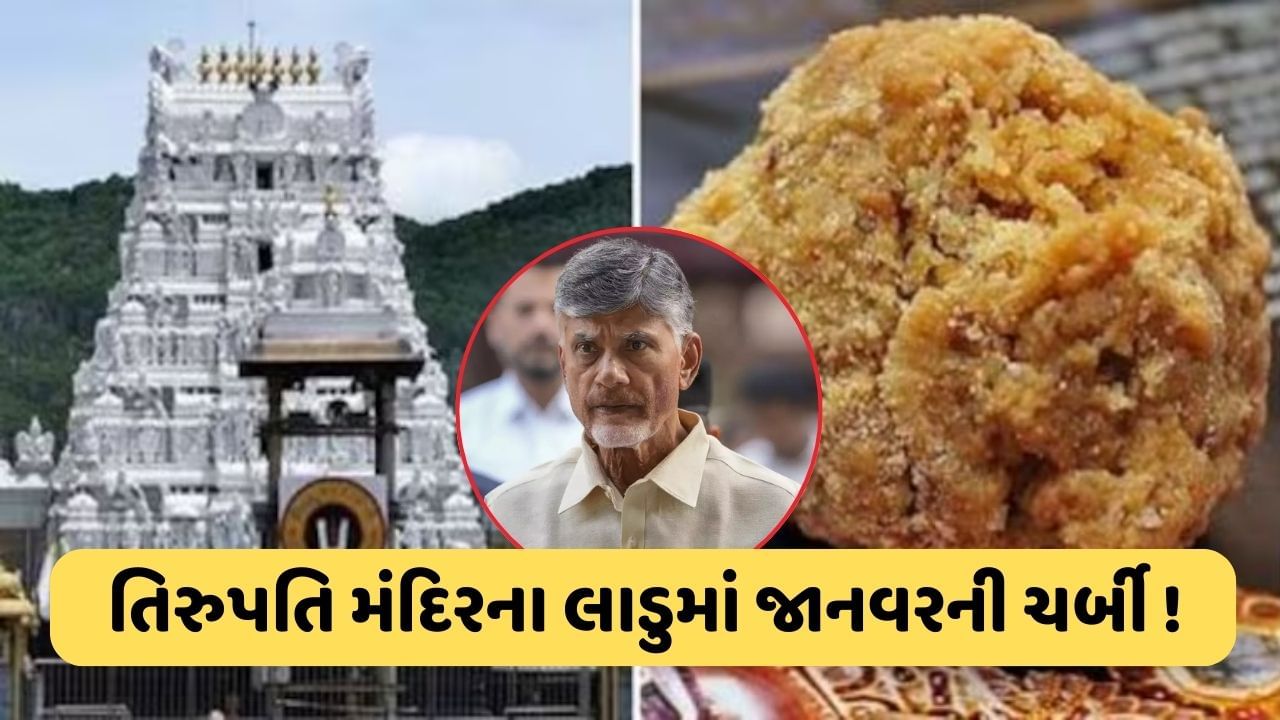 તિરુપતિ પ્રસાદ કેસમાં લેબ રિપોર્ટ બાદ CM ચંદ્રબાબુ નાયડુનું મોટું નિવેદન, કહ્યું- ‘કોઈને બક્ષવામાં નહીં આવે’, જાણો શું થયો ખુલાસો