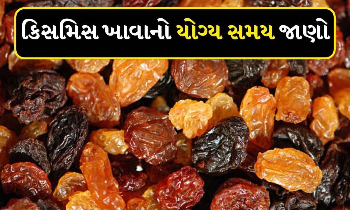 raisin-:-કયા-સમયે-કિસમિસ-ખાવી-સૌથી-વધુ-ફાયદાકારક-છે,-જાણો-એક્સપર્ટ-પાસેથી