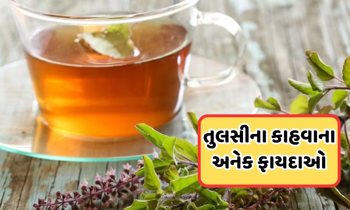 Health Tip: વરસાદ સિઝનમાં થઈ ગઈ છે શરદી અને ઉધરસ, તો આજે જ ઘરે બનાવો આ દેશી ઉકાળો