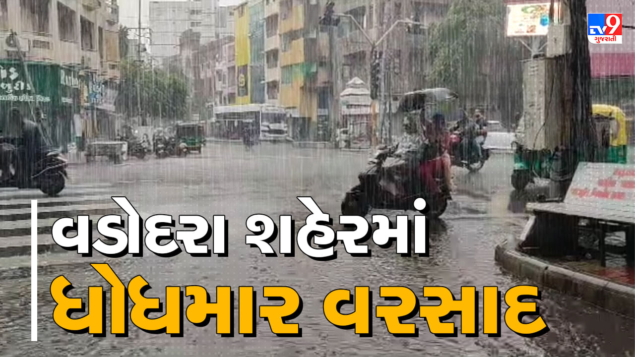 Rain News :  મેઘરાજાએ ફરી બોલાવી ધડબડાટી, અનેક વિસ્તારોમાં ધોધમાર વરસાદ, જુઓ Video