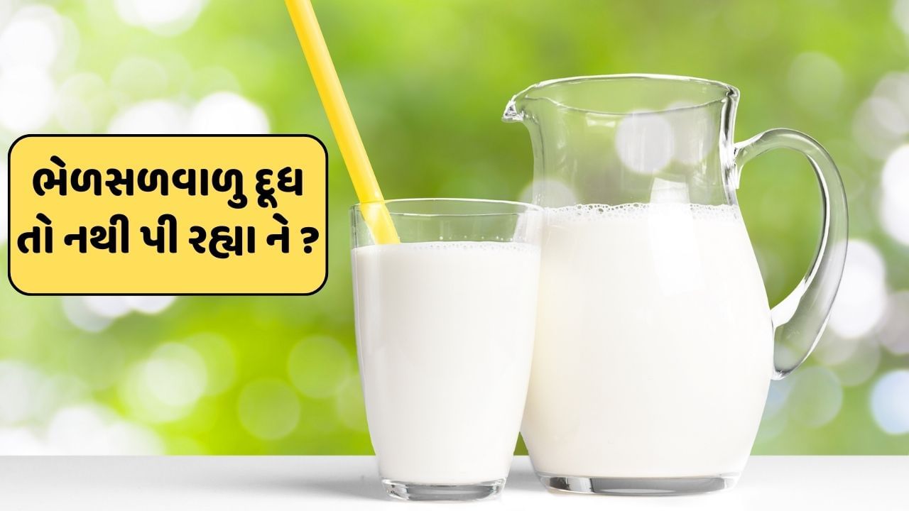 તમે જે દૂધ પી રહ્યા છો તે અસલી છે કે ભેળસળવાળુ? આ ત્રણ સરળ ટિપ્સથી જાતે જ કરો ઓળખ