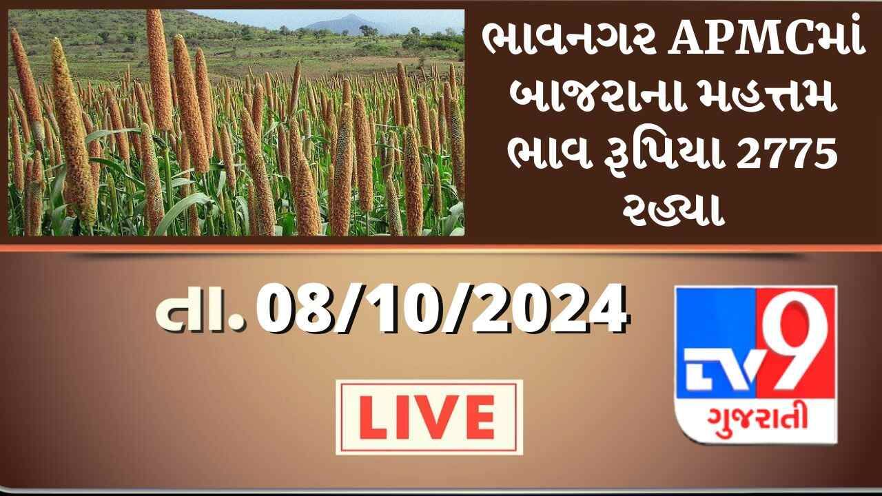 ભાવનગર APMCમાં બાજરાના મહત્તમ ભાવ રૂપિયા 2775 રહ્યા, જાણો જુદા-જુદા પાકના ભાવ